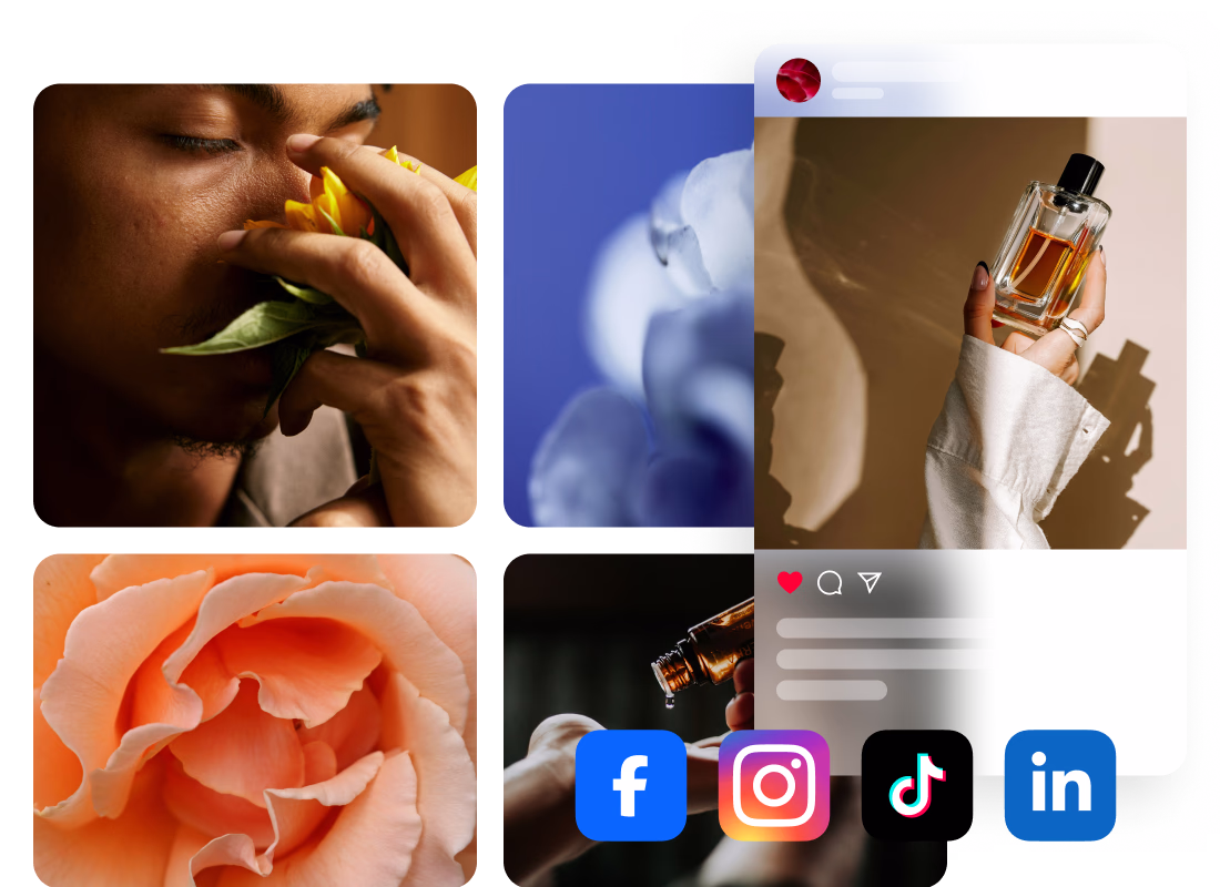 Instagram_web_CA