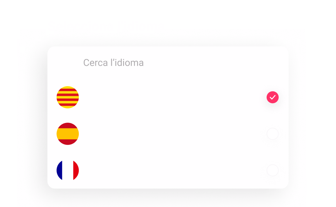Multidioma_web_CA