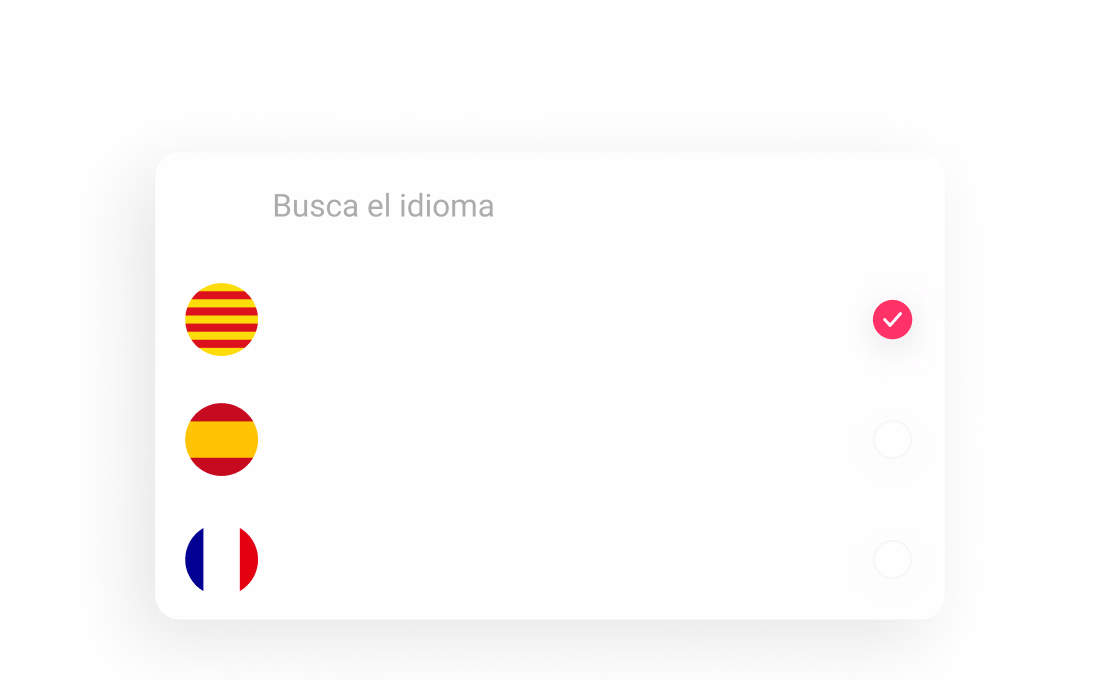 Multidioma_web_ES