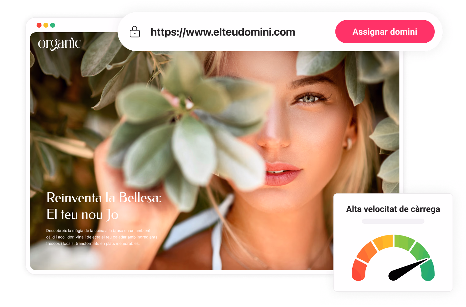 Domini_web_CA