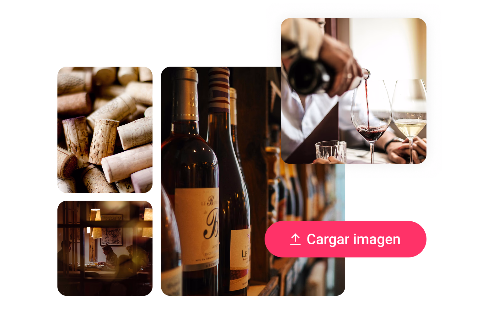 Editor_web_fácil_02_CA